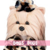 Muñeca Lucky Doggy 37 cm - Lucky Yoyo - Chaqueta estampada, camiseta y pantalón