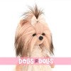 Muñeca Lucky Doggy 37 cm - Lucky Yoyo - Starlight