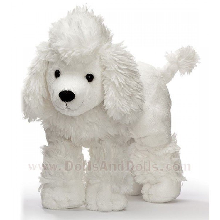 Poodle - White Dog - 30 cm