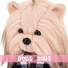 Bambolo Lucky Doggy 37 cm - Lucky Andy - Uomo di stile